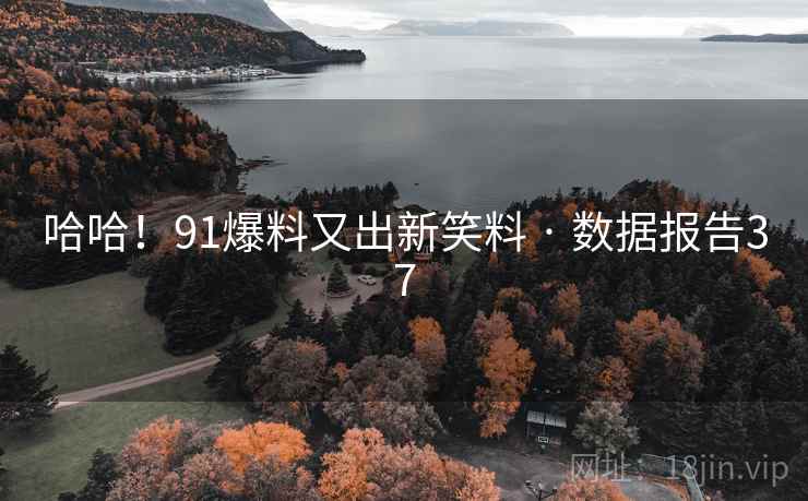 哈哈！91爆料又出新笑料 · 数据报告37