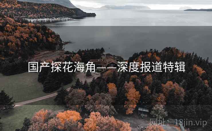 国产探花海角——深度报道特辑