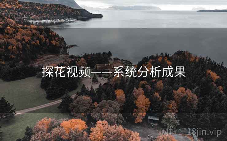 探花视频——系统分析成果