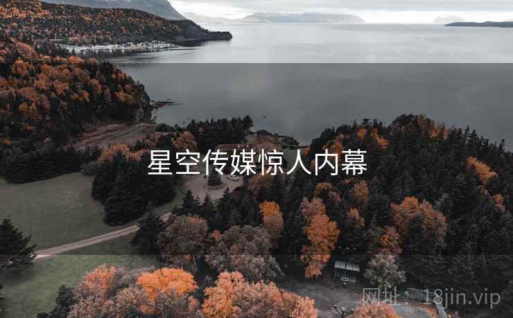 星空传媒惊人内幕