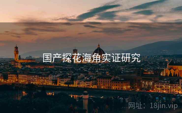 国产探花海角实证研究