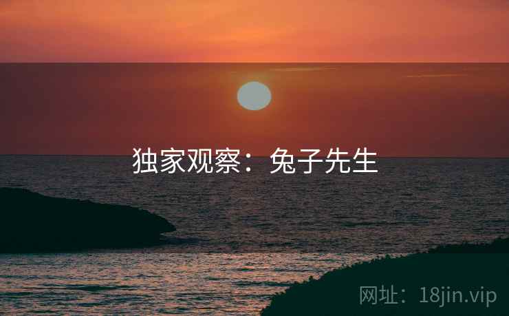 独家观察：兔子先生