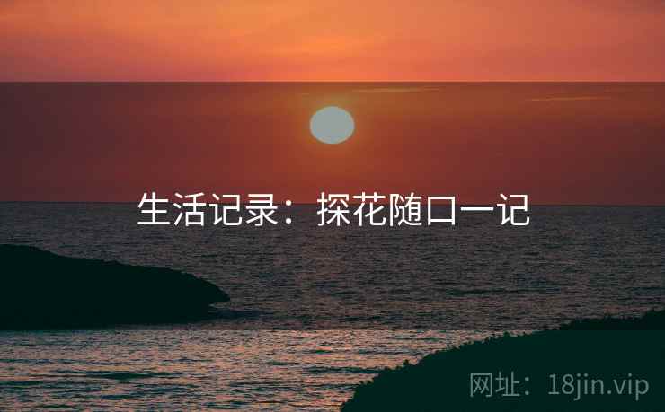 生活记录：探花随口一记