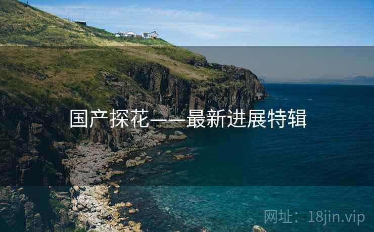 国产探花——最新进展特辑