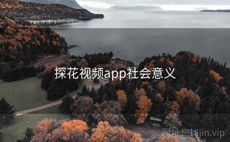 详细阅读:探花视频app社会意义 探花视频app社会意义